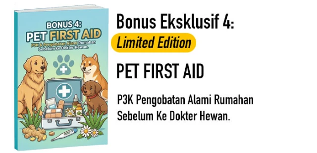 1771673970834-COVER NPF Bonus 4