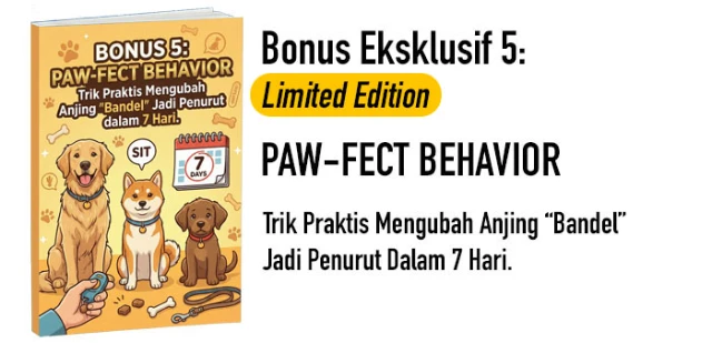 1771673992012-COVER NPF Bonus 5