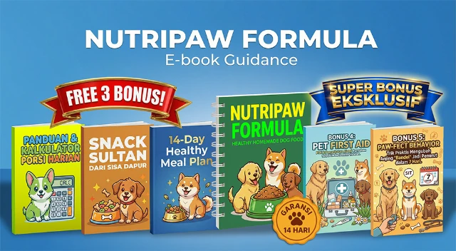 1771677042990-COVER BUNDLE 2 copy small