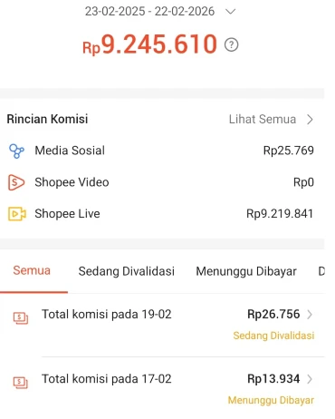 1771772317767-Screenshot 2026-02-22 215819.webp