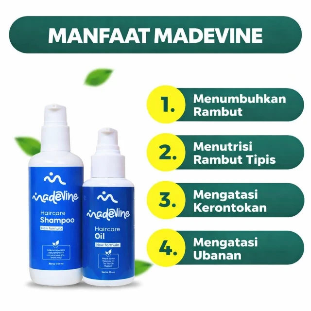 1771897305585-41fea98d-8156-4f71-b1a1-1ee68b3c4bc5