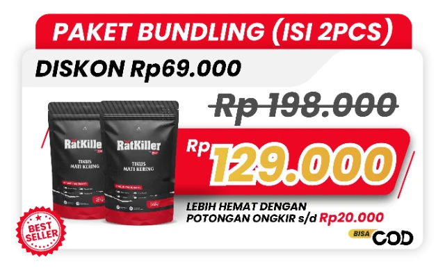 1771990516230-beli 2B