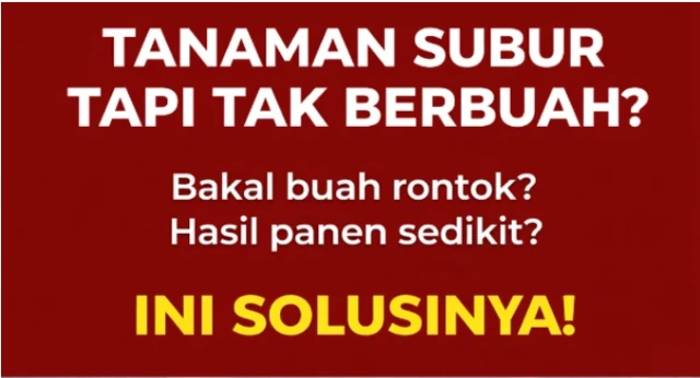 1772001504125-Screenshot 2026-02-17 155250