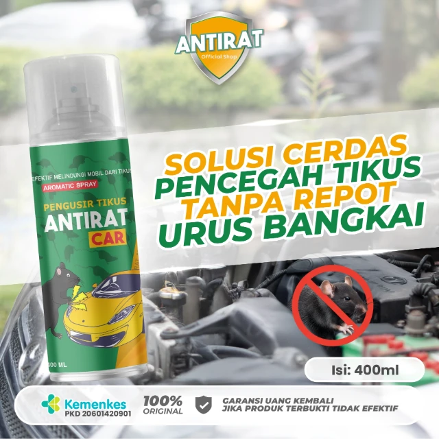 1772081592234-SOLUSI CERDAS.webp