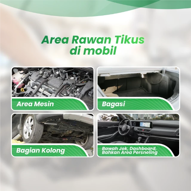 1772081617534-AREA RAWAN.webp