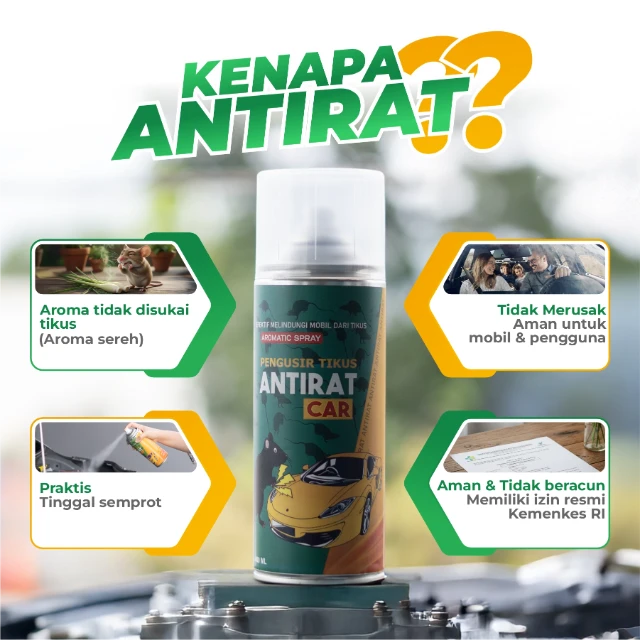 1772081623884-KENAPA ANTIRAT.webp