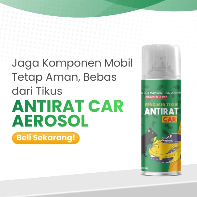 1772081676842-BELI SEAKARANG.webp