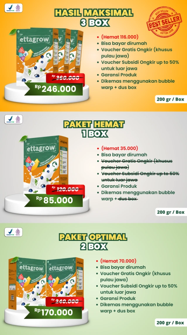 1772262344722-harga best 3 box