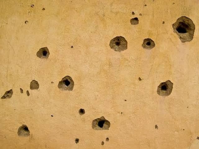 1772271682245-f9o2krqTePpqhhrf9oagKR2n4NQWxzQGa6MMsThX2ew