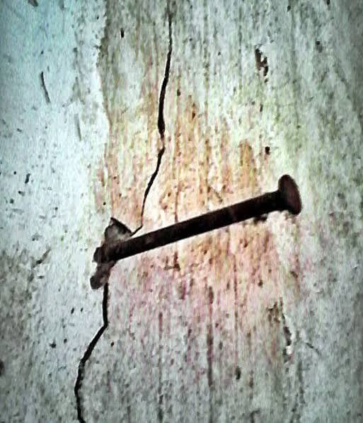 1772271764084-f9oA6V200uPHji8lf9oanTaYAJhOAkwTmmYVCOKiXODw