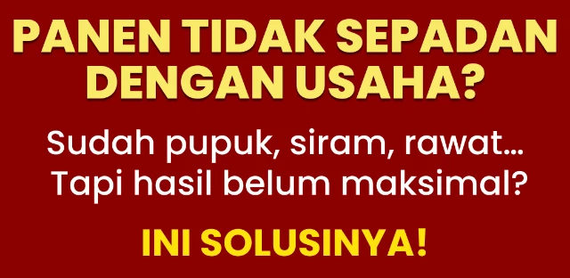 1772422783608-Frame 785