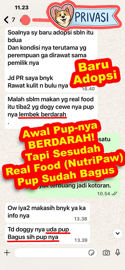 1772422790170-PUP BERDARAH copy.webp