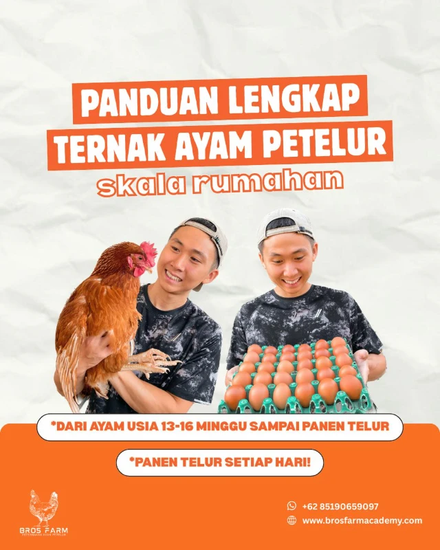 1772513728729-SKALA RUMAHAN