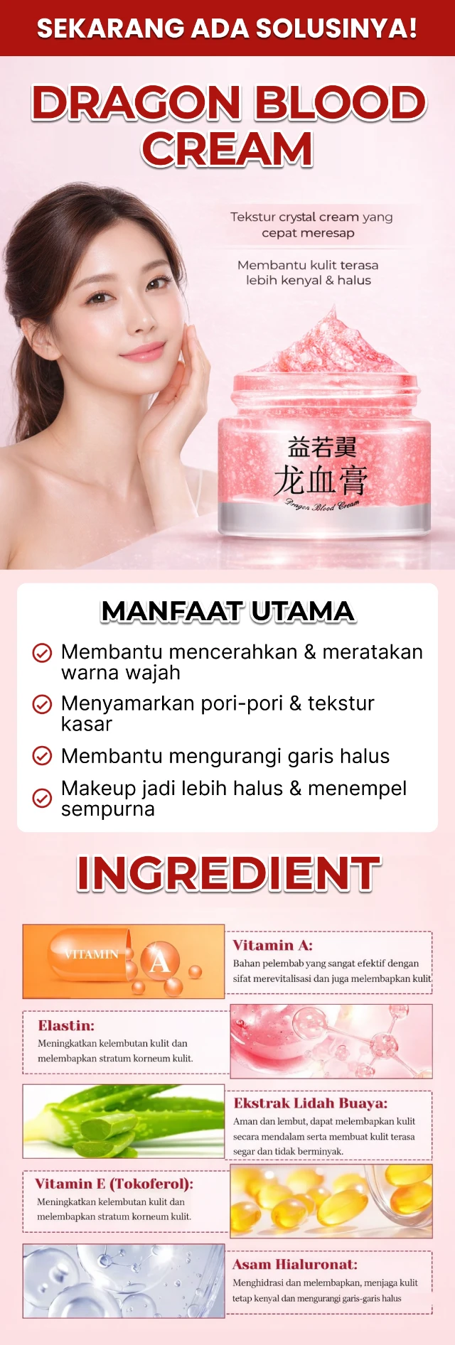 1772517718738-Frame 805 (1)