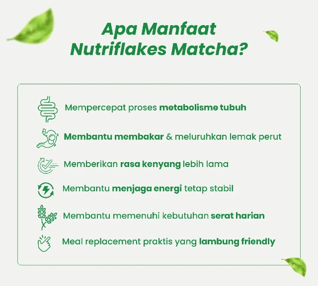 1772523326066-lp-matcha--02_result