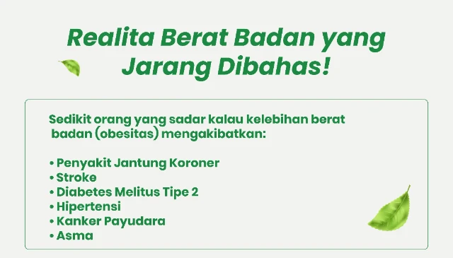 1772523510947-lp-matcha--08_result