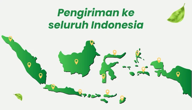 1772524196528-lp-matcha--09_result