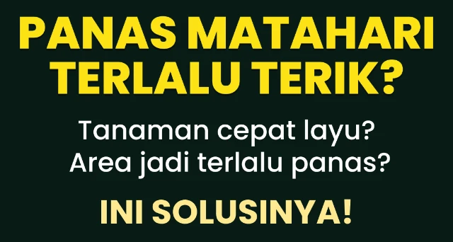 1772684903837-Frame 840