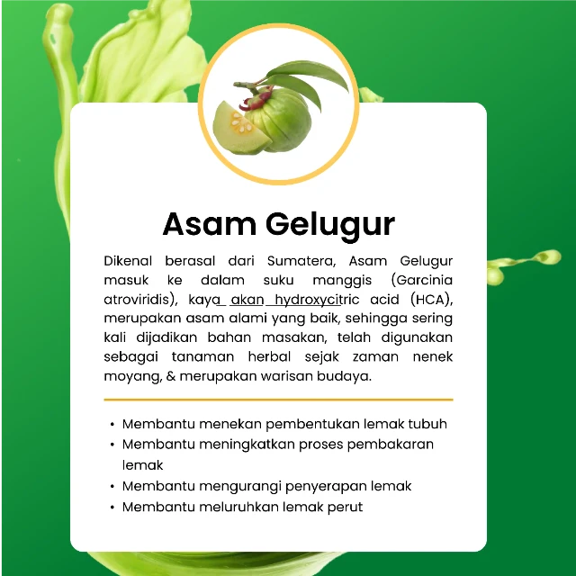 1772689117149-lp matcha-22_result.webp