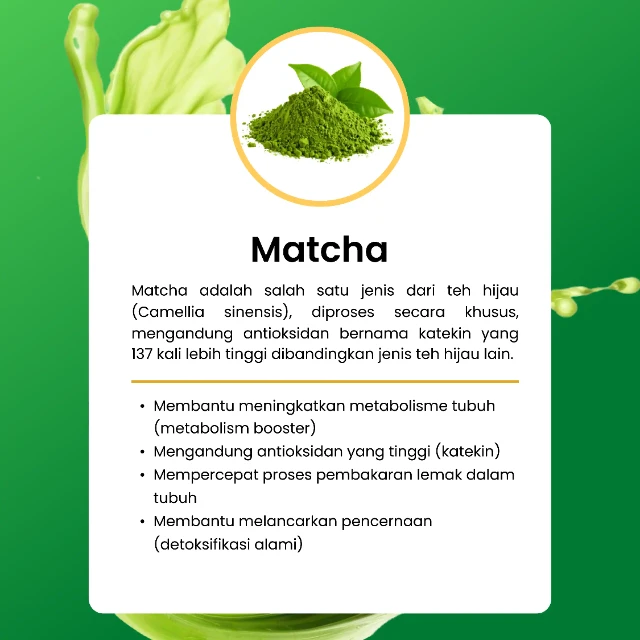 1772689123464-lp matcha-23_result.webp
