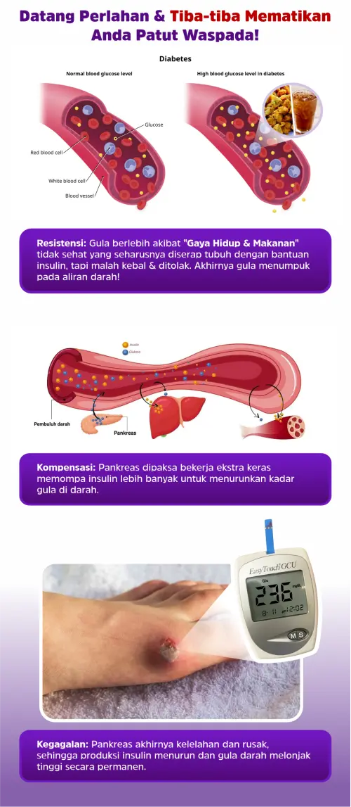 1772839300643-1767420644099-tambahan-LP-2