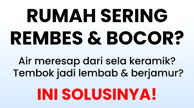 1772845296942-Frame 868