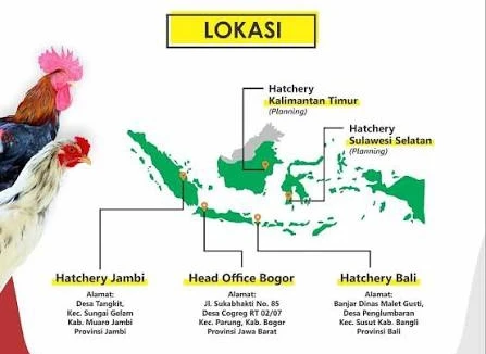 1772909781512-1000042984