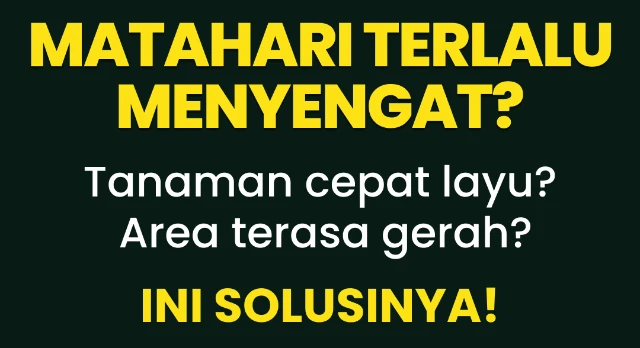 1773291414225-Frame 918