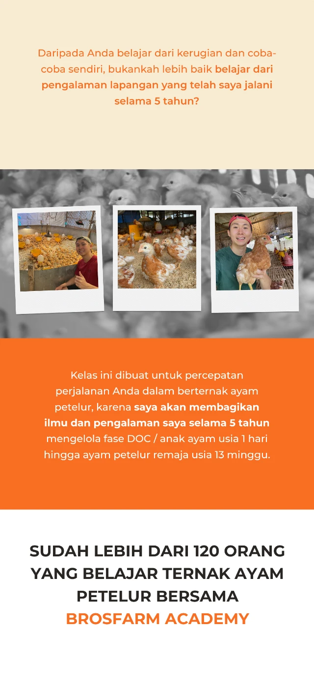 1773310211532-LP DOC (2)