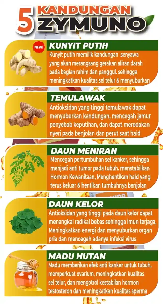 1773365556867-kandungan