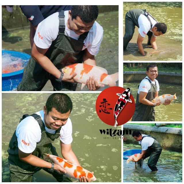 1773647889642-Agus 3