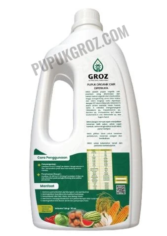 1774583099250-DP-Back-WM