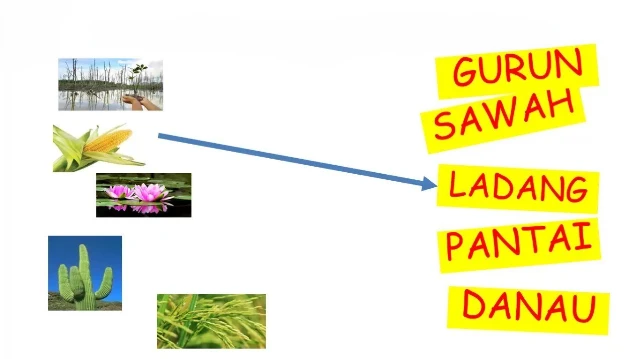 1774704840220-ruang tumbuh yang sesuai