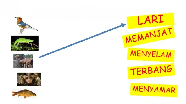 1774704851851-Latihan Yang Sesuai