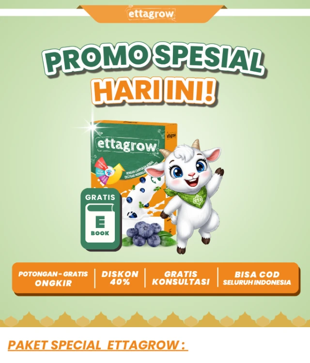 1774926427877-promo go to school