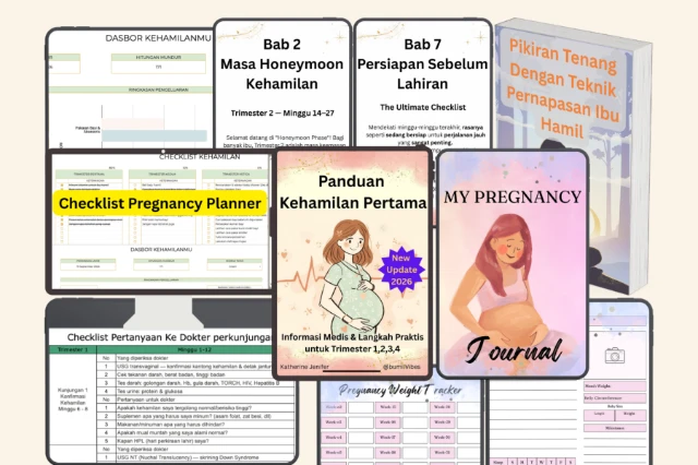 1775178141930-Dasbor & Checklist Kehamilan