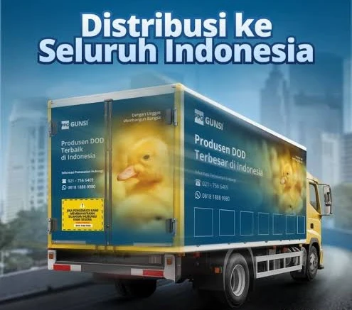 1775259842412-1000049058