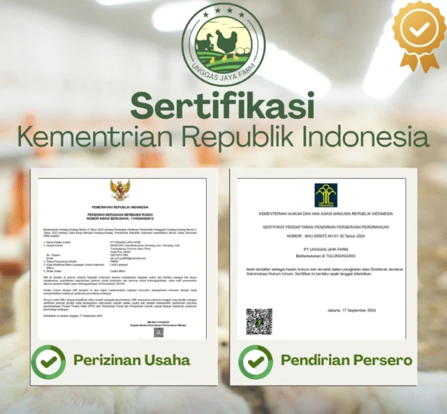 1775266764226-1000042985