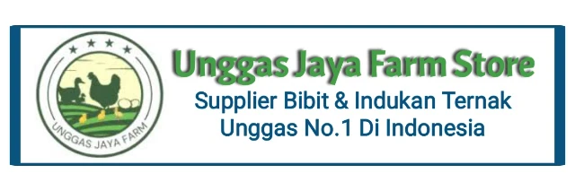 1775266832058-1000049046