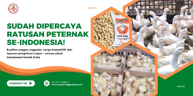 1775266998558-1000046257