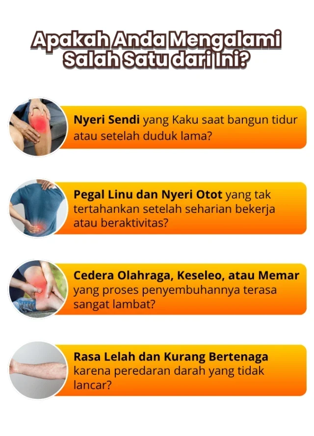 1775297180648-1755926677233-IMG_5323