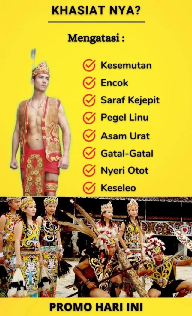 1775298224562-1754927525671-IMG_0076