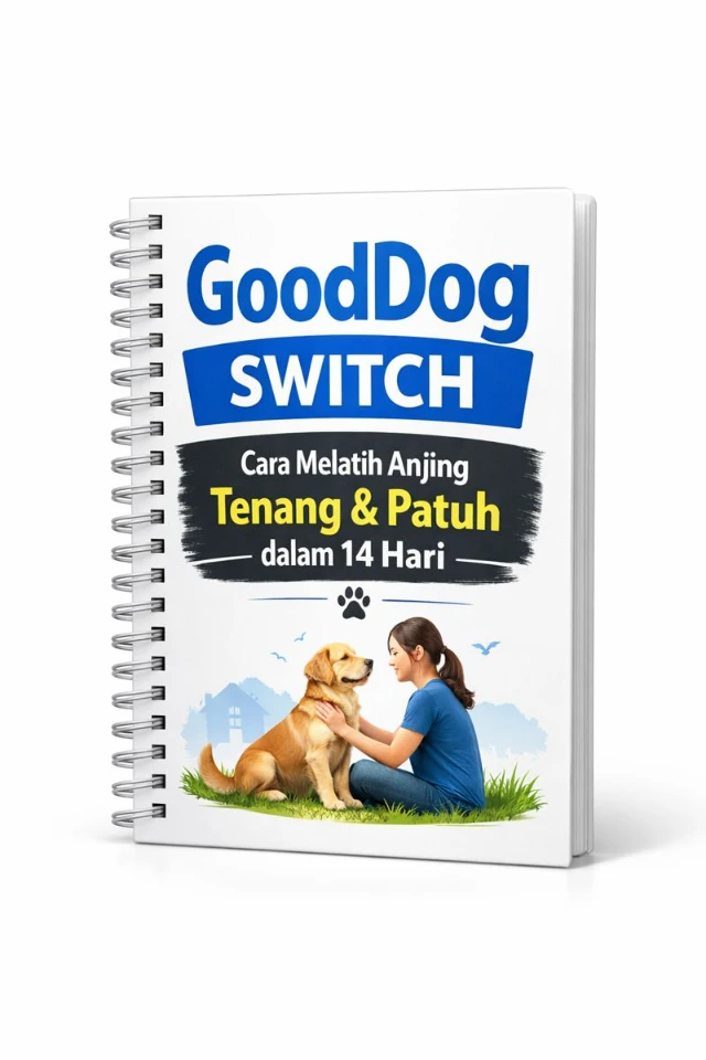 GoodDog Switch