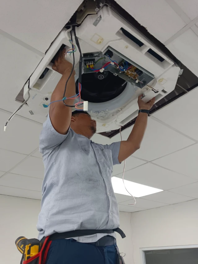 1775641366306-WhatsApp Image 2025-12-16 at 08.34.13 (1)