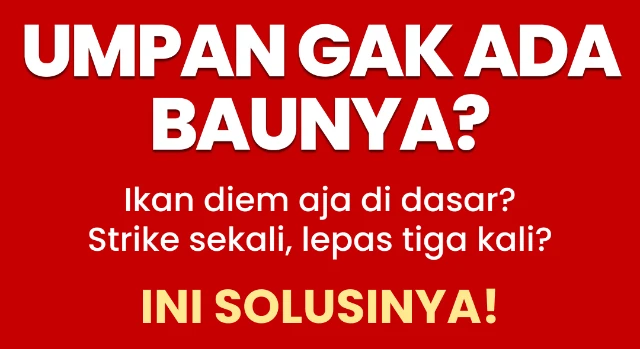 1775808842801-Frame 1179