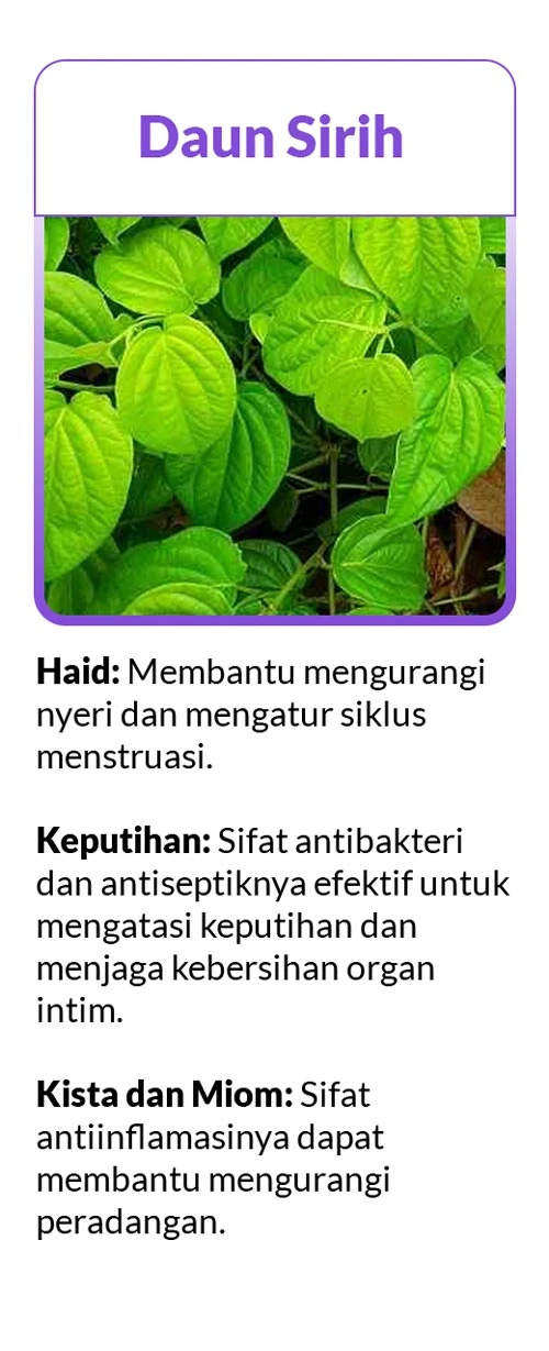 1776050862382-vmalety-daun-sirih.webp