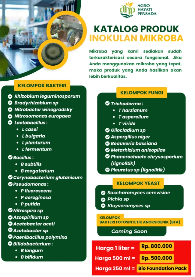 1776813111940-Katalog Produk