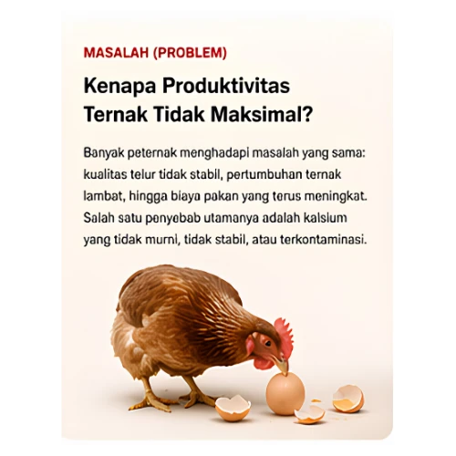 1777016572479-ayam