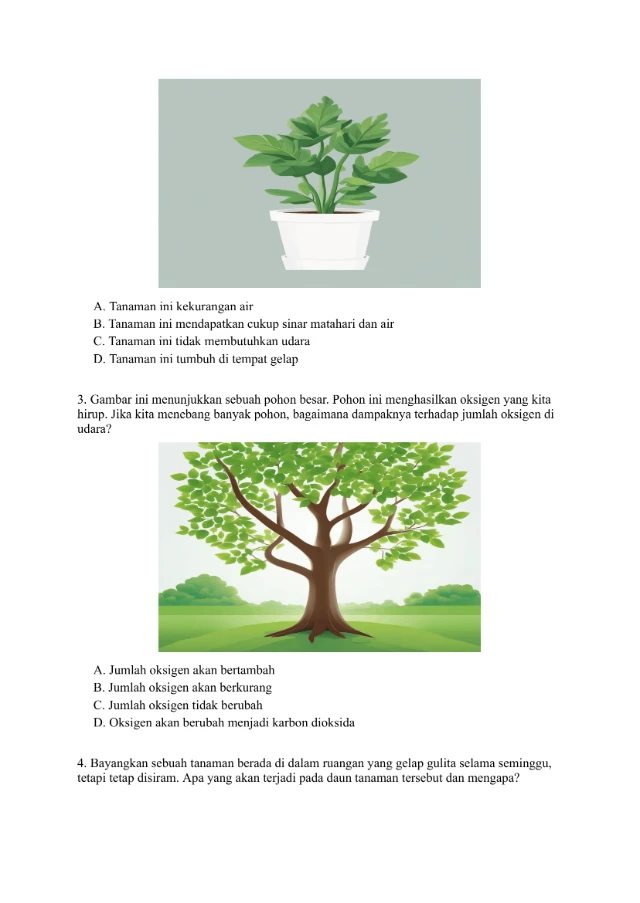 Halaman 02 - Paket Soal Fotosintesis