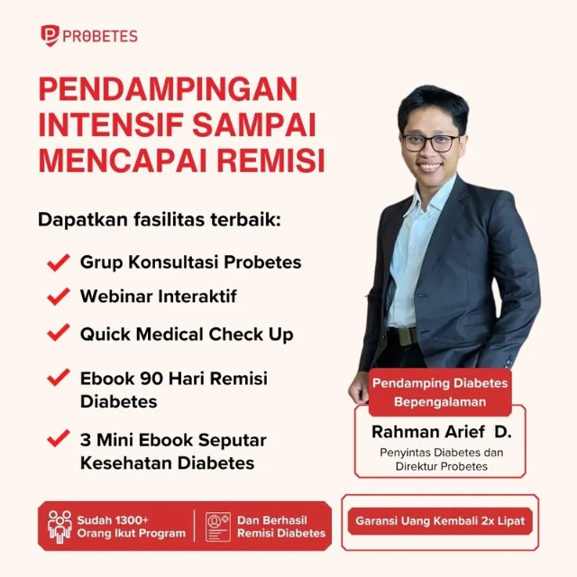 Bundling Herbal Probetes 1 Box + Program Remisi Probetes